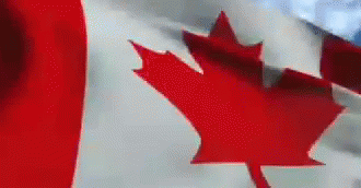 canada flag gif canada