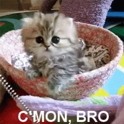 C Mon Man GIFs | Tenor