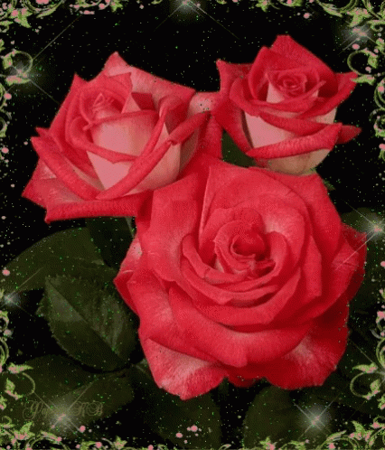 30+ Trends Ideas Roses For My Love Gif - Major League Wins