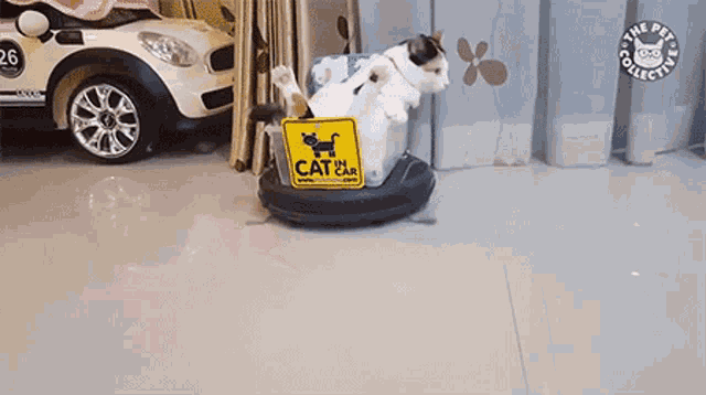 Robot Vacuum Cat In Car GIF RobotVacuum CatInCar CatDriving