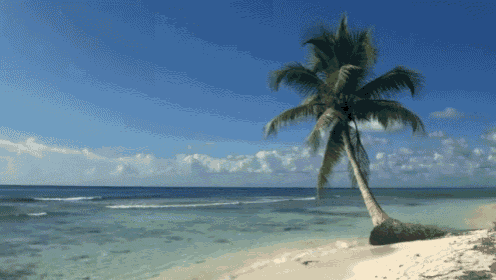 Tropical Beach With Blue Sky White Sand GIF - Relaxing ...