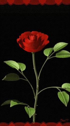 tenor.gif?itemid=8231332