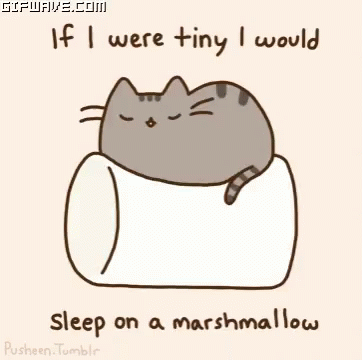 pusheen gifs tenor