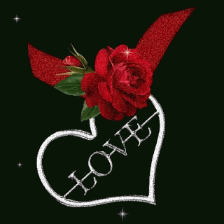 love rose gif love rose heart discover share gifs