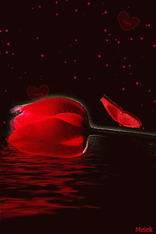 animated flower gif animatedflower discover share gifs