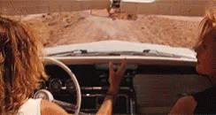 Image result for thelma and louise off the cliff gif