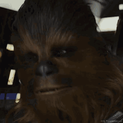 chewbacca porg pop