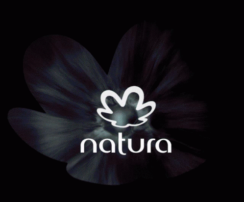 Mm Natura GIF - Mm Natura Leaf - Discover & Share GIFs