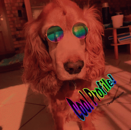 pics Funny Discord Profile Pictures Funny Avatars cool animated profile pictures gifs tenor