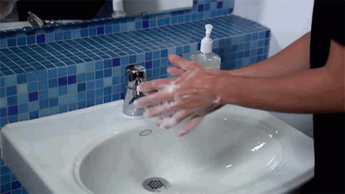 Hand Wash GIFs | Tenor