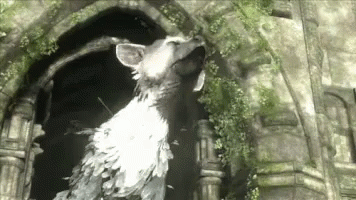 the last guardian gameplay reaction