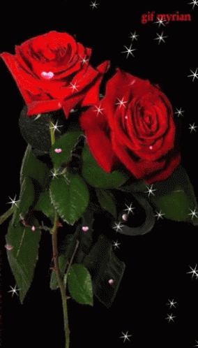 For You Flowers GIF - ForYou Flowers RedRoses - Discover & Share GIFs