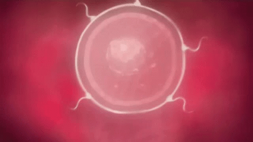 Anime impregnation gif