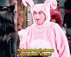 chandler pink bunny