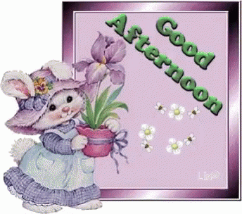 good afternoon gifs tenor