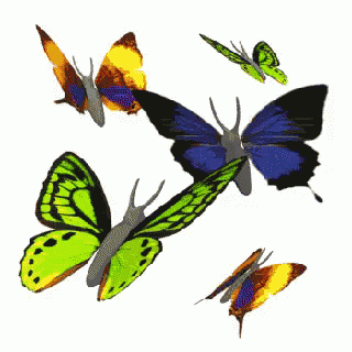 Butterfly Butterflies GIF - Butterfly Fly Butterflies - Discover