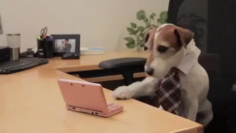 Dog, wearing a tie, "types" on the computer