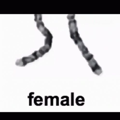 See the source image
