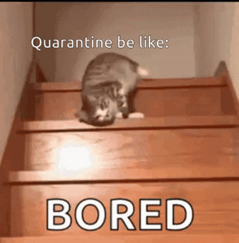 This image has an empty alt attribute; its file name is tenor.gif