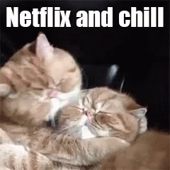 Image result for netflix and chill gif