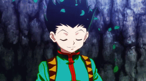HunterxHunter gif