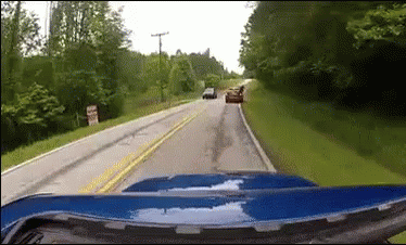 Almost Roadkill, But Nope GIF - Nope Almost RoadKill GIFs