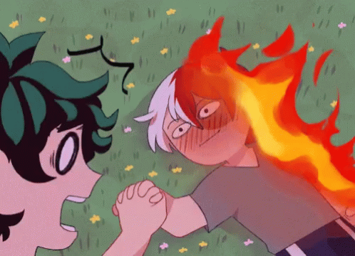 Image result for tododeku