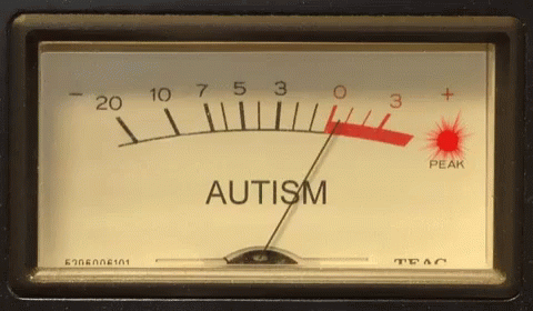 Image result for autism meter