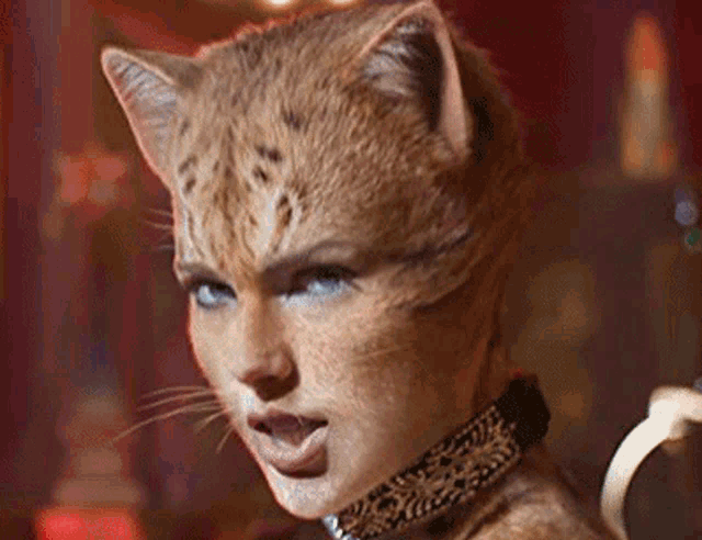 Cats Movie Musical Morph Gif Catsmovie Musicalmorph Transform Discover Share Gifs