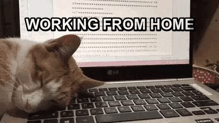 15 Working From Home Memes That Ll Brighten Up Your Day By