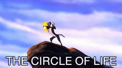 Image result for the circle of life gif