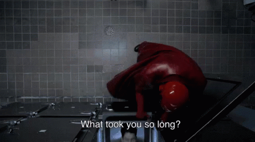 Image result for what took you so long gif