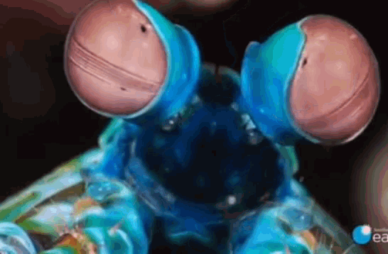 tenor.gif
