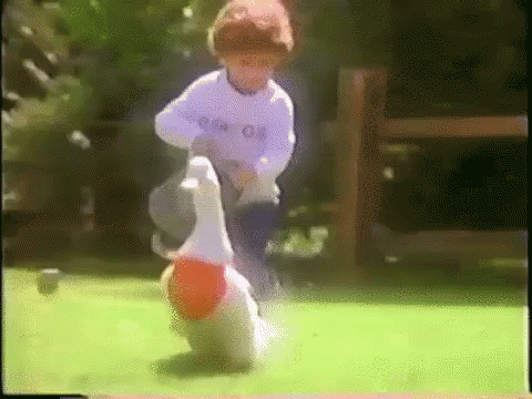 Goose GIF - Goose Funny - Discover & Share GIFs