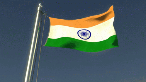 India Flag GIF - India Flag FlagWaver - Discover & Share GIFs