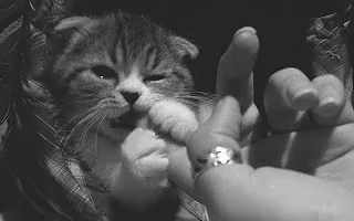 Arte Tierno Gifs Tenor Arte Tierno Gifs Tenor