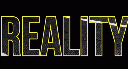 Image result for reality gifs