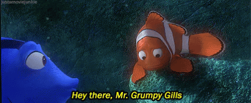 Image result for hey there mr grumpy gills gif