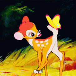 Image result for bambi bird