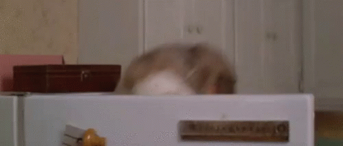 Surprise facial Surprise facial