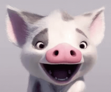 moana pig pua surprise gif moanapigpua pua pig discover share gifs