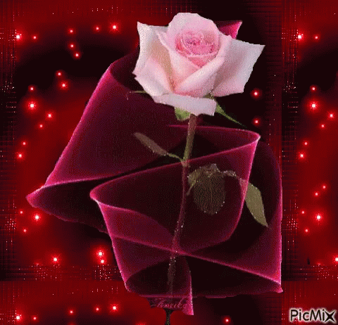 Rose Flower GIF - Rose Flower Pretty - Descubre & Comparte GIFs