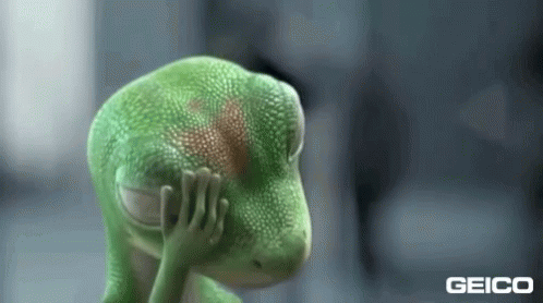Image result for lizard facepalm gif