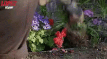Pulling Weeds GIF - PullingWeeds Pull Garden GIFs