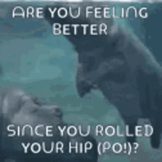 flip a zoo hippo