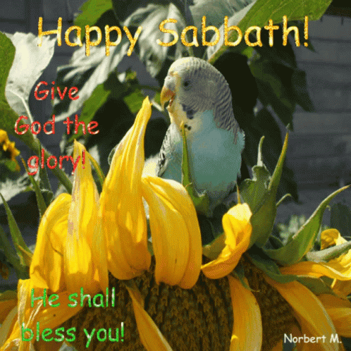 Happy Sabbath God GIF - HappySabbath God Religion - Discover & Share GIFs