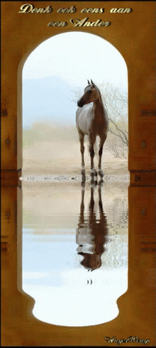 Denk Anderen GIF - Denk Anderen Horse GIFs
