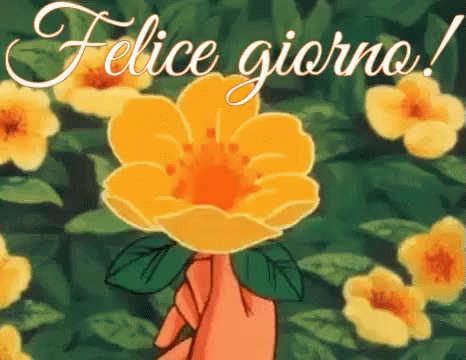Felice Giorno Buongiorno Buon Giorno Buona Giornata A Tutti Svegliarsi Buondì Gif Felicegiorno Buongiorno Buonagiornata Discover Share Gifs