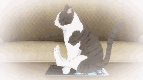 Anime Cat GIF - Anime Cat ButtWiping GIFs