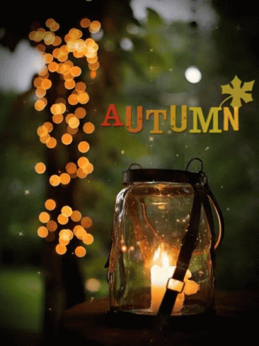 First Day Of Fall First Day Of Autumn GIF - FirstDayOfFall ...
